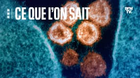 Cliché du Sars-CoV-2 au microscope le 28 juin 2021