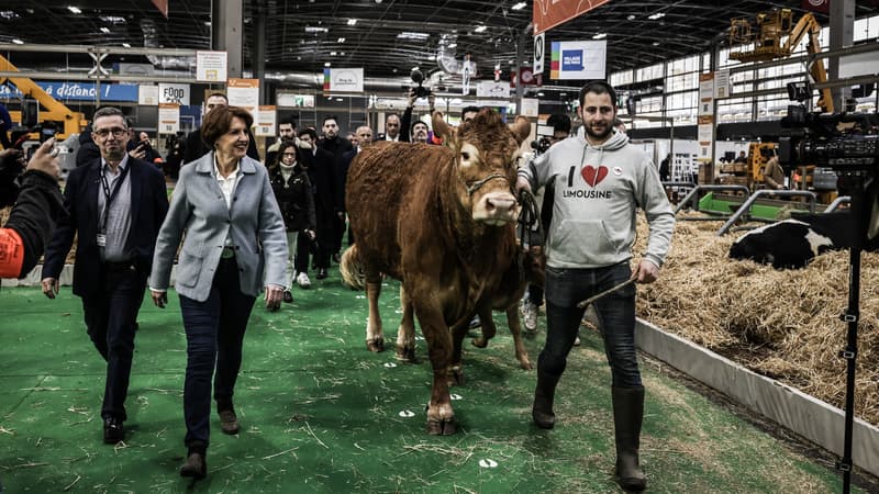 DIRECT. Salon de l'agriculture: après Emmanuel Macron, Jordan Bardella attendu dans les allées