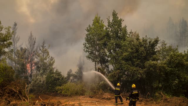 Des pompiers venus de Serbie en renfort combattent les feux sur l'île d'Eubée, en Grèce, le 10 août.