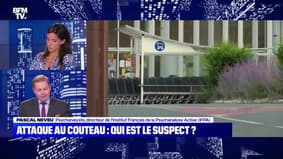 Attaque au couteau au Mans : qui est le suspect ? - 28/07