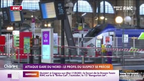 Attaque à la gare du Nord: le profil du suspect se précise