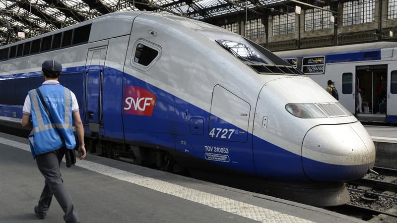 La jeune fille se trouvait à bord d'un Paris-Montpellier (photo d'illustration)