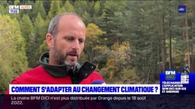 Pascal Frbezar, directeur adjoint de l'ONF dans les Hautes-Alpes, explique que l'espèce la plus touchée est le Pin sylvestre