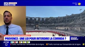 Loi sur l'interdiction de la corrida: "on ne lâchera pas l'affaire"