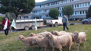 Une action des agriculteurs a eu lieu ce 17 avril 2024 devant les locaux de la Direction départementale des territoires (DDT) de Digne-les-Bains (Alpes-de-Haute-Provence)