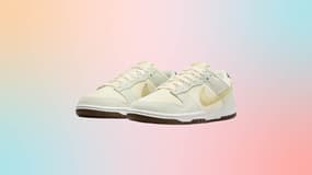 Cette paire de Nike Dunk Low va se vendre comme des petits pains à ce prix là