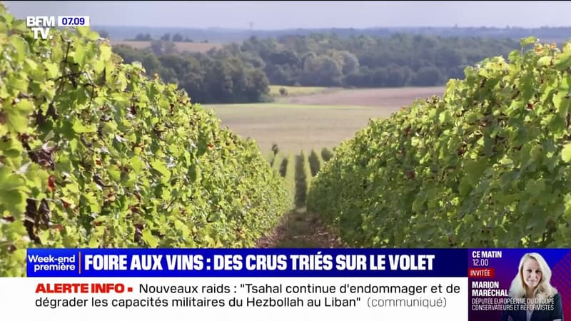 Foire aux vins: des crus triés sur le volet