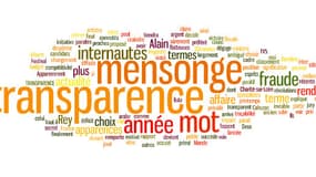 "Mensonge" et "transparence" ont été élus mot de l'année par les internautes et un jury de professionnels.