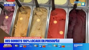 Lyon: des sorbets 100% locaux en Presqu'île