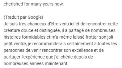 Un chat polonais trop enrobé devient une attraction touristique à 5 étoiles sur Google Maps Un chat polonais trop enrobé devient une attraction touristique à 5 étoiles sur Google Maps