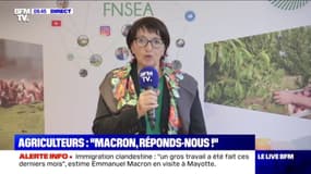 "La France est en train de tourner le dos à son agriculture.", selon la présidente de la FNSEA