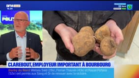 Prix de la pomme de terre en baisse: "La consommation a baissé", estime Eric Gens, maire de Bourbourg
