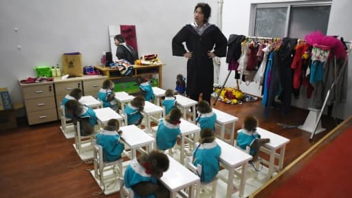 Souma Takeshi, l'entraîneur japonais de l'école de dressage de singes du zoo de Dongying, le 26 janvier 2016 dans la province chinoise du Shandong, dans l'est de la Chine Souma Takeshi, l'entraîneur japonais de l'école de dressage de singes du zoo de Dongying, le 26 janvier 2016 dans la province chinoise du Shandong, dans l'est de la Chine