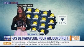 Météo Paris Île-de-France du 28 janvier: Pas de parapluie pour aujourd'hui !