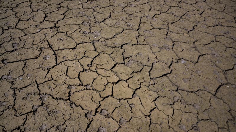 La sécheresse au lac des Brenets, dans le Doubs, le 22 juillet 2022