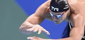 Manaudou : "Je suis programmé pour performer ici"