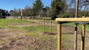 Le jardin de la Mathilde, dans le 9e arrondissement de Marseille, en mars 2024.
