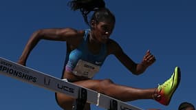 Kristi Castlin
