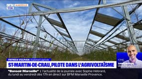 Bouches-du-Rhône: à St-Martin-de-Crau, un site pilote dans l'agrivoltaïsme