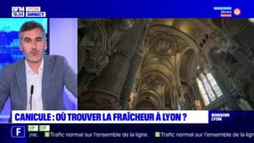 Canicule : où trouver de la fraîcheur à Lyon ? 