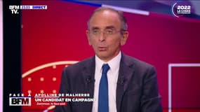 Éric Zemmour: "Je reproche à Emmanuel Macron d'être comme un adolescent qui jongle avec des idées contradictoires"