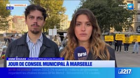Marseille: une manifestation avant le Conseil municipal en faveur du dispositif "voisins vigilants"