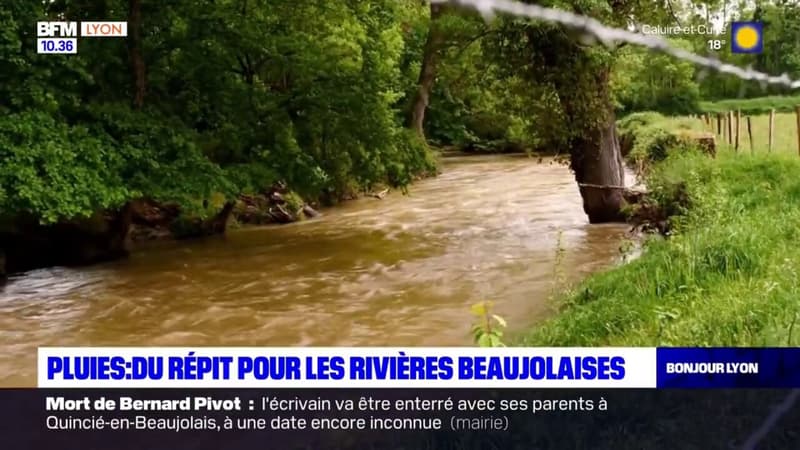Beaujolais: du répit pour les rivières avec les récentes pluies