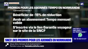 SNCF: des promotions pour les abonnés en Normandie