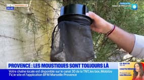 L'Isle-sur la-Sorgue: des pièges pour se débarrasser des moustiques