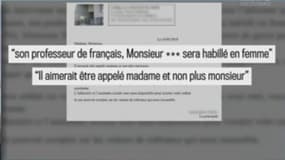 Le professeur d'un collège de Seine-et-Marne change de sexe: vive polémique sur les réseaux sociaux