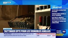 Taittinger opte pour les vignobles Anglais 