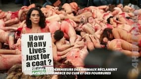 Barcelone: les défenseurs des animaux réclament la fin du commerce du cuir et des fourrures