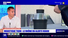 Rhône: les conseils pour éviter l'apparition du moustique tigre