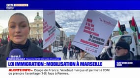 Loi immigration: près de 4.000 personnes mobilisées à Marseille