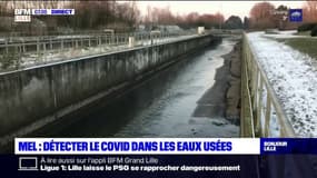 Covid-19: comment le réseau Obépine surveille l'épidémie dans les eaux usées de la métropole de Lille