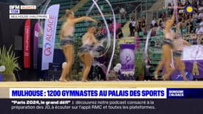 Mulhouse: 1200 gymnastes au palais des sports