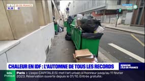 Grève des éboueurs: les poubelles du 15e arrondissement débordent