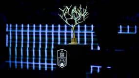 Le trophée du Masters 1000 de Paris, le 3 novembre 2024