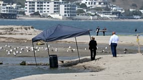 Un enquêteur se tient à côté d'un tonneau où un corps a été découvert à Malibu Lagoon State Beach, en Californie, le 31 juillet 2023.