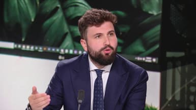 Me Tom Michel, avocat du streameur "Safine", le 21 août sur BFMTV.