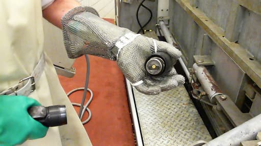 Photo prise dans un abattoir français en 2007 lors d'une enquête réalisée par l'association L214, qui milite pour le bien-être animal.