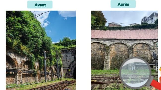 Exemple de végétation incontrôlée aux abords des voies et des caténaires de la SNCF