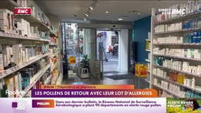 Les pollens de retour avec leur lot d'allergies 