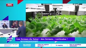 On n'arrête pas le progrès : Les fermes du futur - 27/02