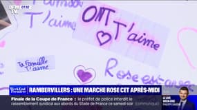 Vosges: les habitants de Rambervillers pourront rendre hommage à la fillette lors d'une "marche rose" ce samedi après-midi 