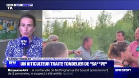 Marine Tondelier et Sandrine Rousseau insultées: "Les écologistes peuvent être un bouc émissaire idéal", pour Marine Tondelier (EELV)
