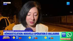 Vallauris: pour éviter la propagation de la dengue, une opération de démoustication organisée