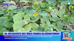 Alpes-Maritimes : découvertes des premières fermes du département