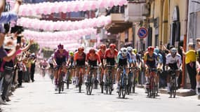 Le peloton du Giro 2024, le 14 mai 2024