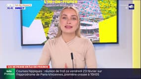 Ça se passe en Île-de-France: Rihanna aperçue à Saint-Denis, vélotour arrive à Saint-Quentin-en-Yvelines